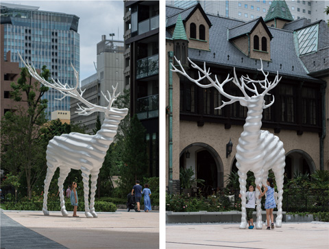 sandwich-white deer.jpg